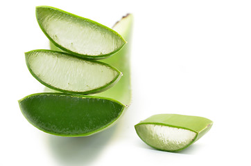 Image showing Aloe vera fresh leaf isolated