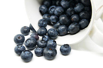 Image showing Tasty blueberries isolated