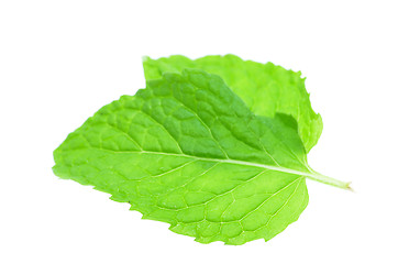 Image showing Fresh mint leaves