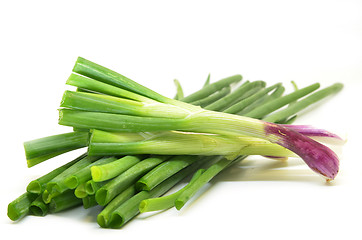 Image showing Fresh spring onions