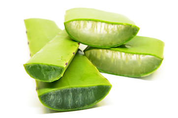 Image showing Aloe vera fresh leaf isolated