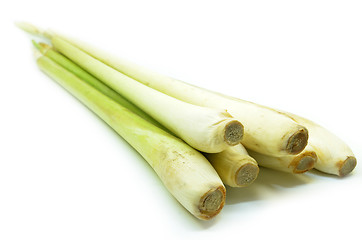 Image showing Bundle of lemon grass