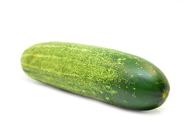 Image showing Fresh green cucumber