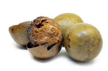 Image showing Lo Han Guo, Monk or Buddha fruit