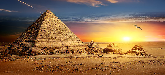 Image showing Pyramids at sunset