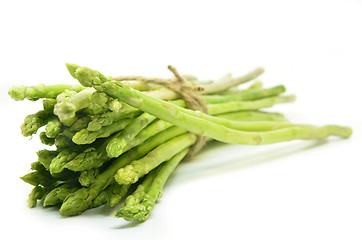 Image showing Bundle of green asparagus shoots