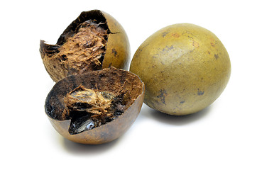 Image showing Lo Han Guo, Monk or Buddha fruit