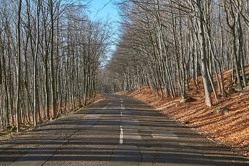 Image showing Autumn Road Drive