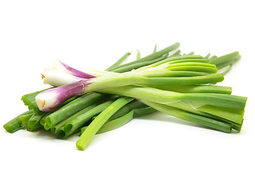 Image showing Fresh spring onions