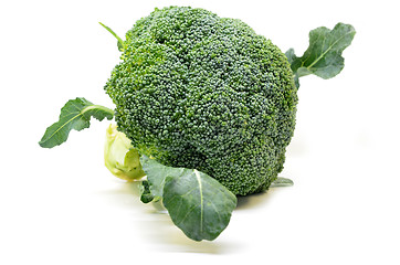 Image showing Fresh broccoli isolated on white background
