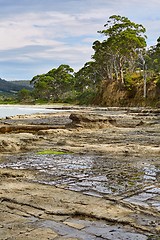 Image showing Landscape in Tasmania