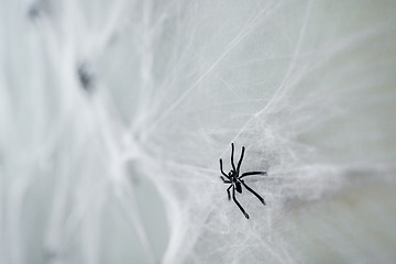 Image showing halloween decoration of black toy spider on cobweb