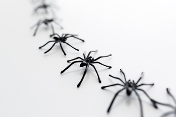 Image showing black toy spiders chain over white background