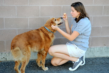 Image showing Female feeding dog.