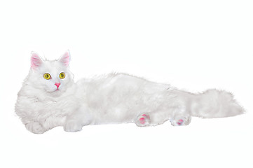 Image showing Fluffy white one-year-old homemade cat lays on a white isolated background