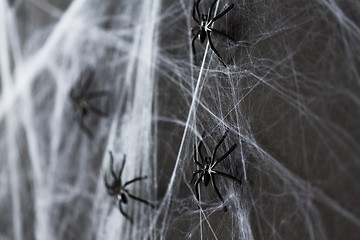 Image showing halloween decoration of black toy spider on cobweb