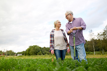 Image showing senior couple with shovel picking carrots on farm
