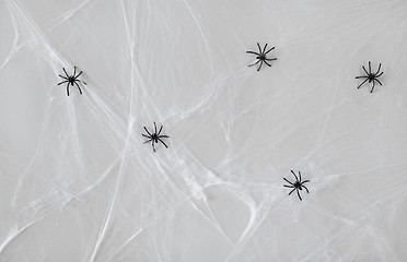 Image showing halloween decoration of black toy spiders on web