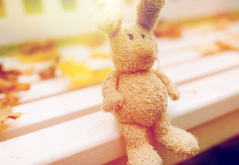 Image showing toy rabbit on bench in autumn park