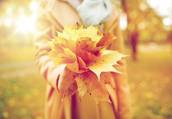 Image showing close up of woman with maple leaves in autumn park