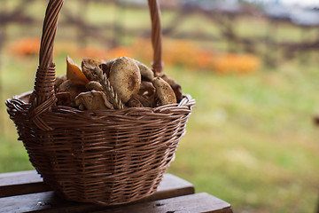 Image showing Different mushrooms in basket