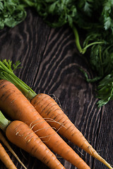 Image showing Freshly grown carrots