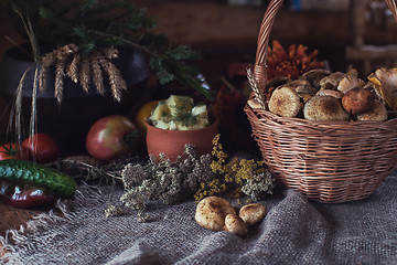 Image showing autumn nature gifts