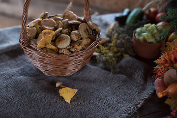 Image showing Different mushrooms in basket