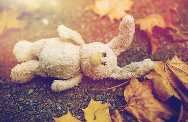 Image showing toy rabbit and autumn leaves on road or ground