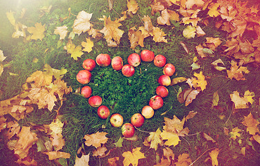 Image showing apples in heart shape and autumn leaves on grass