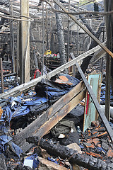 Image showing Sweatshop fire