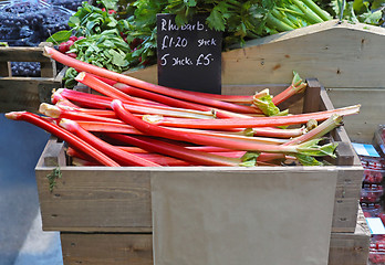 Image showing Rhubarb