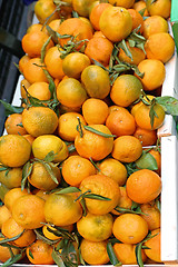 Image showing Mandarin orange