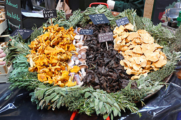 Image showing Wild mushroom mix