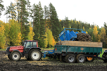 Image showing Sugar Beet Harvest in Finland
