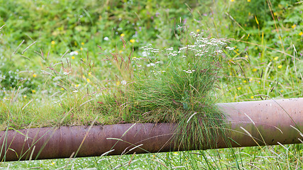 Image showing Old water pipe