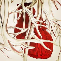 Image showing Human heart and veins. 3D illustration.. Vintage style.