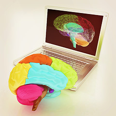 Image showing creative three-dimensional model of real human brain and scan on