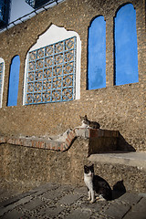 Image showing Chefchaouen, the blue city in the Morocco.