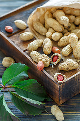 Image showing Paper bag with a dry peanut.