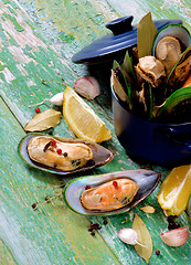 Image showing Boiled Green Mussels