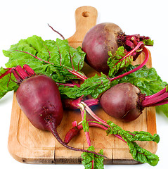 Image showing Fresh Young Beet