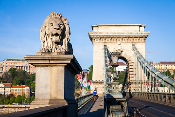 Image showing BUDAPEST, HUNGARY - 2017 MAY 19th: lion statue at the beginning 