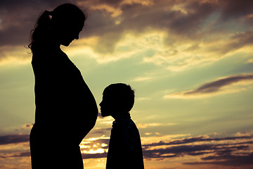 Image showing Mother and son walking on the field at the sunset time.