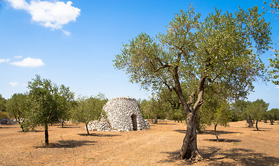 Image showing Puglia Region, Italy. Traditional warehouse made of stone