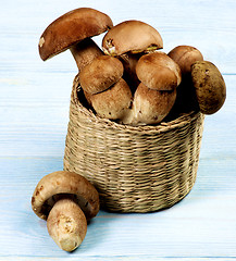 Image showing Fresh Boletus Mushrooms