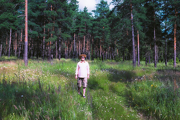 Image showing Man Walking in Pine Forest