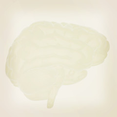 Image showing 3D illustration of human brain. Vintage style.