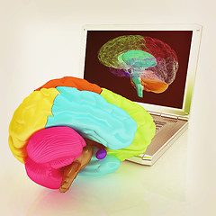 Image showing creative three-dimensional model of real human brain and scan on