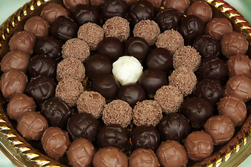 Image showing Chocolate truffles